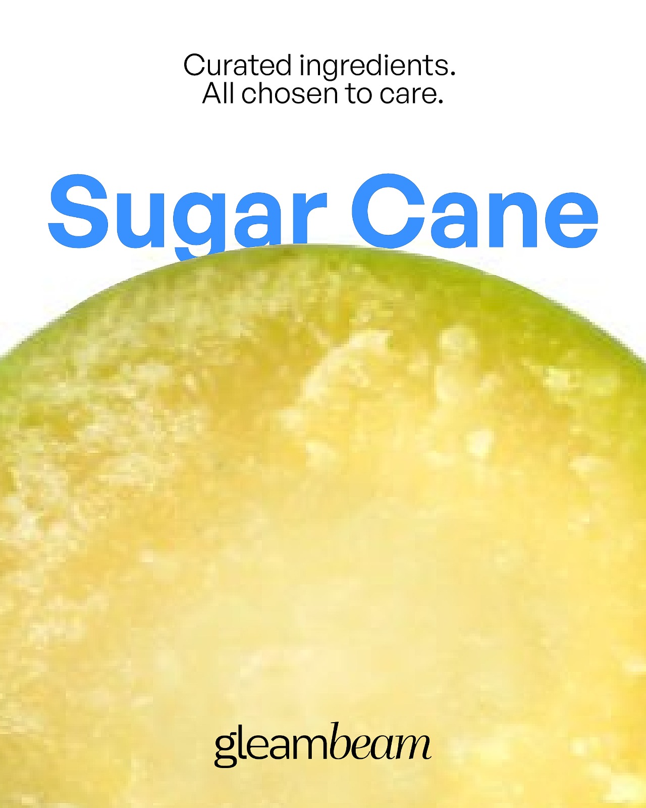 Saccharum Officinarum (Sugar Cane) Extract